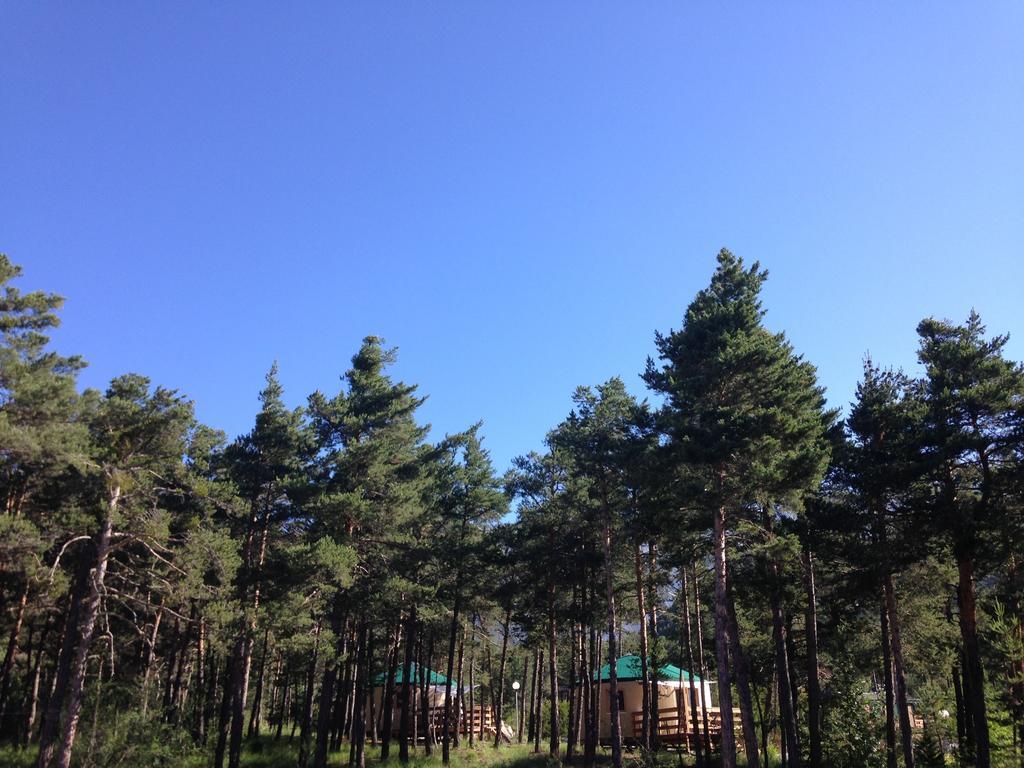 Hotel Parc Residentiel De Loisir : Le Loup Blanc Du Riou Barcelonnette Exterior foto